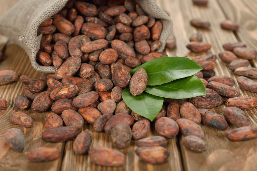 Produkt - Ziarna kakaowca
