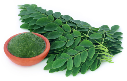 Produkt - Moringa olejodajna